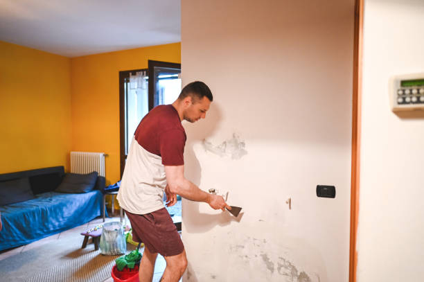 Best Mold Testing  in Niagara, WI