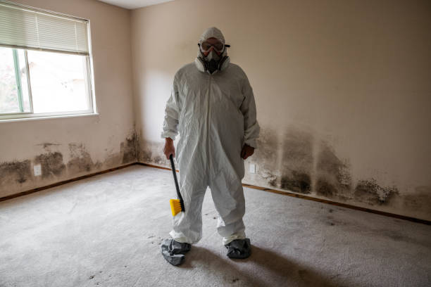 Mold Testing and Removal in Niagara, WI